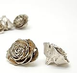 ~Coco Heart~　シダローズ　プラチナ　10個　（木の実・ドライフラワー・クリスマス）