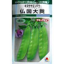 Amazon | 株式会社トーホク 仏国大さやえんどう 01269 | 野菜
