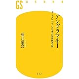 アングラマネー タックスヘイブンから見た世界経済入門 (幻冬舎新書)