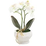 人工シルク胡蝶蘭Orchid Flower Arrangement w / Vintageホワイト花瓶 M ホワイト TB-DECO0600WHT