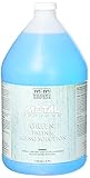 Modern Masters pa901-gal Aging Solution Gallon PA901-GAL 1