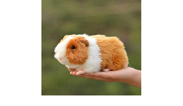 Amazon Co Jp ぬいぐるみリアルなオランダ豚モルモットシミュレーション動物ぬいぐるみぬいぐるみ人形子供18cm おもちゃ