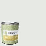 Inspired Semi-Gloss Interior Paint, Imagine .05, Gallon [並行輸入品]