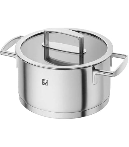 Zwilling J.A. Henckles Joy Stock Pot, 24cm : Amazon.sg: Home