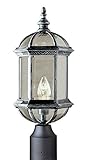 Trans Globe Lighting 4186 BC 19-3/4-Inch 1-Light Outdoor Post Top Lantern, Black Copper [並行輸入品]