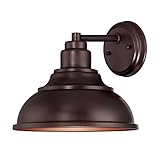 Savoy House 5-5631-DS-13, Dunston DS 1-Light Wall Lantern, English Bronze Outdoor [並行輸入品]