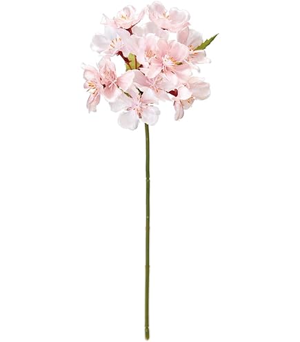 Amazon｜東京堂(Tokyodo) 月夜の桜 落ち輪 花径3.5×L2.5cm 1袋 (48個