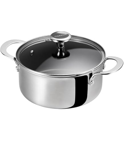 Amazon｜フィスラー (Fissler) 両手鍋 20cm アダマント シチューポット
