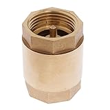 Dolity チェックバルブ　逆止弁　DN25 1インチ NPT　インライン　水　ガス　油　制御工具　真鍮製　