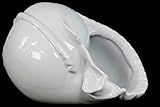 Urban Trends Collection 72099 Ceramic Conch Seashell Figurine Gloss White