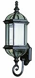 Trans Globe Lighting 4180 BK 22-1/4-Inch 1-Light Outdoor Wall Lantern, Black [並行輸入品]