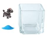 花市場直送便 ミニチュアガラス トイプードル グレー & カラーサンド ブルー & 植え込み用グラス ニューブロックS