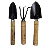 Demiawaking ミニ ガーデニングツール3セット ステンレス製 スコップ シャベル 熊手 庭作り手工具 錆びにくい 持ち運ぶ便利