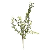 Darice Artificial Multibranch Succulent with Green Leaf Pods [並行輸入品]