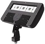 Lithonia Lighting DSXF2 LED 3 50K M2 Outdoor LED 60W Floodlight [並行輸入品]