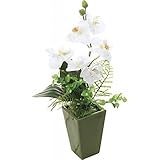 nobrand 光触媒胡蝶蘭（造花） オブジェ (4152)