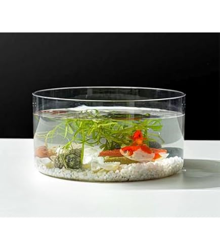 Amazon.co.jp: 金魚鉢 水槽 アクアリウム プラスチック 観葉植物 透明