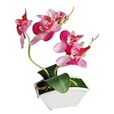 MIOIM 造花 インテリア 胡蝶蘭 ブーケ 観葉植物 鉢植え プリザーブド ブーケ 人工 フラワー 手作り植物 室内 飾り