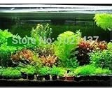 Promotion 1500 seeds 15 kinds aquarium fish tank grass seeds water Aquatic plant seed DIY