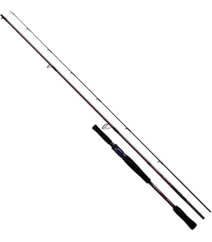 Amazon | ダイワ(DAIWA) 21 スティーズ A TW HLC 6.3R | ダイワ