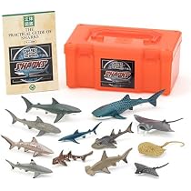 Amazon.co.jp: カロラータ 海の生き物 立体図鑑 (クジラ イルカ ラッコ