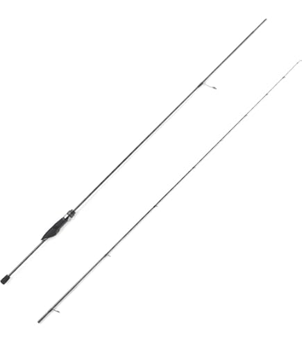 Amazon | AbuGarcia (アブガルシア) エラディケーター ベイトフィネス