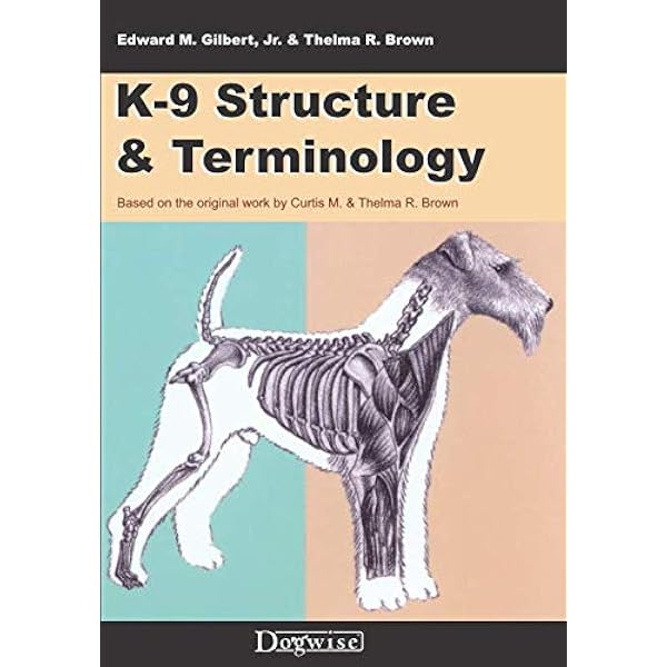 Amazon | The Complete Dog Book: 20th Edition | American Kennel