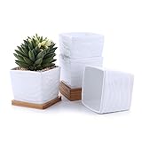 T4U 多肉植物、サボテン鉢 フラワーポット プランター容器 バンブートレイ付き 白 (パッケージ商品数: 4, No.13)