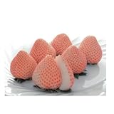 イチゴ：ももか（桃香）3号ポット 4株セット[香り豊かな桃色いちご] ノーブランド品