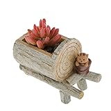 Non-brand フラワーポット 　花植え　