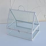 【ノーブランド品】テラリウム２L（観葉植物の保温やディスプレイに）[プランツケージ・デコレーションに]