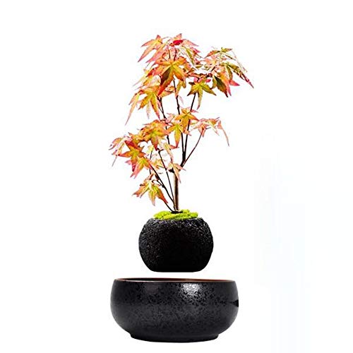 いや欲しいな Www男性向けの面白いプレゼント45選 Monolist