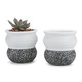 T4U 6CM 陶器ミ二植木鉢 韓国風の雪花シリーズ No.4 2輪黒白 多肉植物 サボテン鉢 フラワーポット プランター容器 2個入り