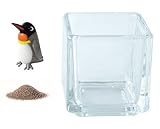 花市場直送便 ミニチュアガラス キングペンギン & カラーサンド ブラウン & 植え込み用グラス ニューブロックS