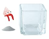 花市場直送便 ミニチュアガラス ヤドカリちゃん & カラーサンド シルバー & 植え込み用グラス ニューブロックS