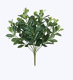18" Decorative Artificial Green Two Tone Polyscias Floral Bush