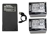 WELLSKY BN-VG121 BN-VG129 互換バッテリー 2個 + AA-VG1 超軽量 USB Type C バッテリーチャージャー 互換充電器1個 [ 3個セット] [ 純正品と同じよう使用可能・残量表示可能 ] [ ビクター Everio エブリオ ]
