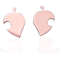 Animal Leaf Earrings Tom Nook Animal Villagers Silver Stud Earrings New Horizon Jewelry