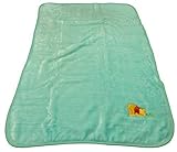 Disney Winnie the Pooh Decorative Baby Blanket Throw - Mint w/ Inch Worm by Disney