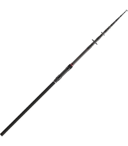 Amazon | Daiwa クロスキャスト テレ 鯉 10フィート 2.6ポンド