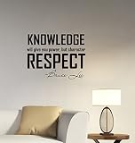 知識Will Give You電源壁ステッカービニールレタリングブルース・リーQuote Motivational Saying Decal Kung FuマスターMartial Arts Inspi