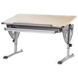 Kettler Logo Fun Desk, Silver/Maple [並行輸入品]