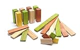 22 Piece Tegu Endeavor Magnetic Wooden Block Set Jungle [並行輸入品]