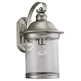 Sea Gull Lighting 88082-965 Outdoor Sconce with Clear?Glass Shades, Antique Brushed Nickel Finish [並