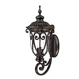 Acclaim 2121MM Naples Collection 3-Light Wall Mount Outdoor Light Fixture, Marbleized Mahogany [並行輸入