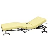 アイリスオーヤマ 折りたたみ電動ベッド リクライニング 完成品 ゴールド/ブラウン OTB-KND