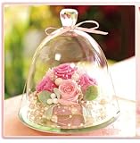 プリザーブドフラワーIPFA プリザーブドフラワー ギフト 『ガラスドーム エレガンス (ピンク＆ピンク)』