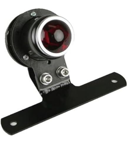 Amazon | デイトナ(Daytona) ショートリアフェンダー ステンレス 250TR