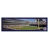 Minnesota Twins Long 9 " x 30 " Wooden Twins Stadium Sign