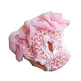 1個美しいレースペット雌犬綿衛生生理月経パンティー下着犬のおむつ衛生パンツ